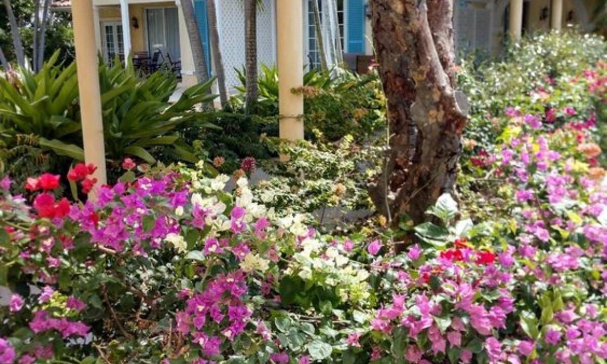 Photo of Outdoor in Grace Bay