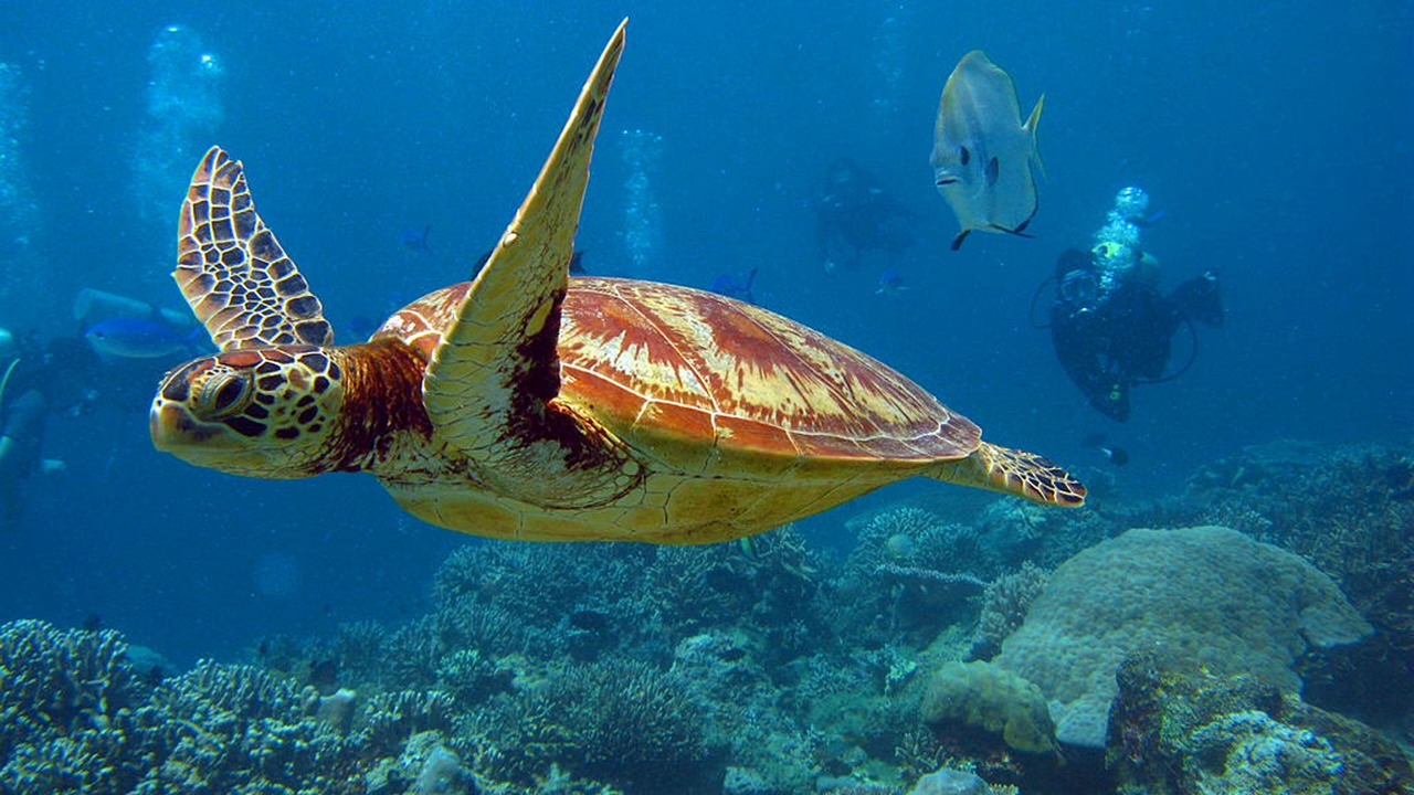 Photo of Others in Beau Vallon