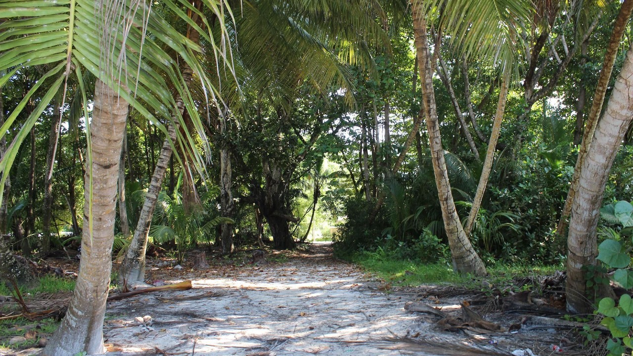Photo of Outdoor in Grand Anse