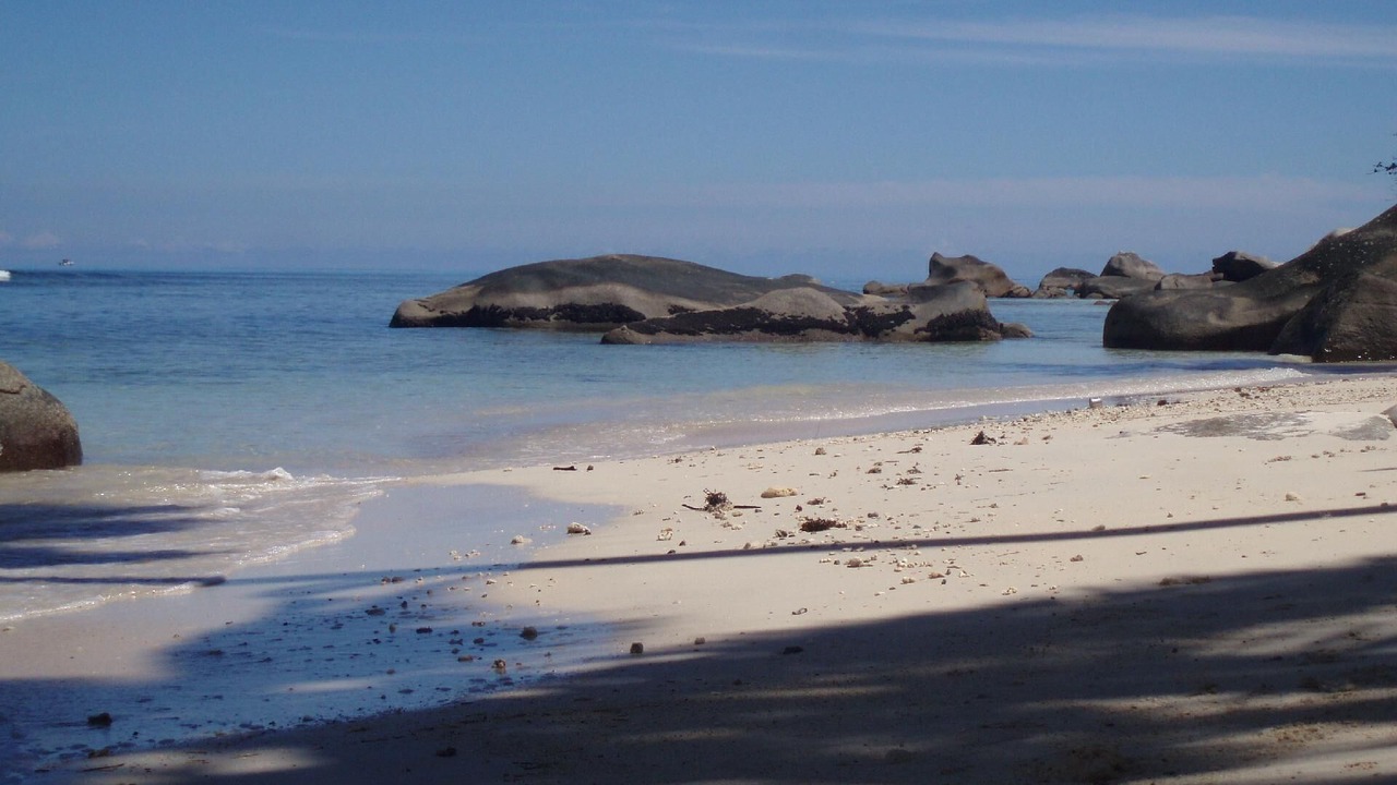 Photo of Others in Mare Anglaise