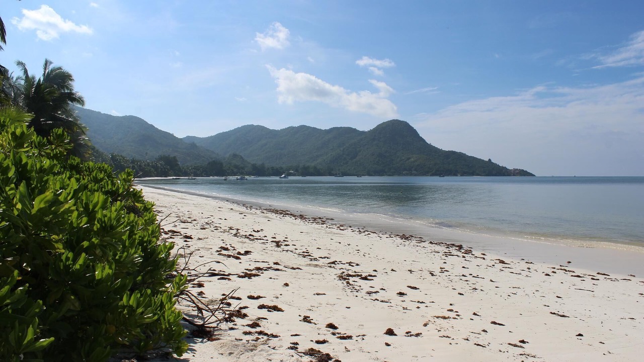 Photo of Others in Grand Anse
