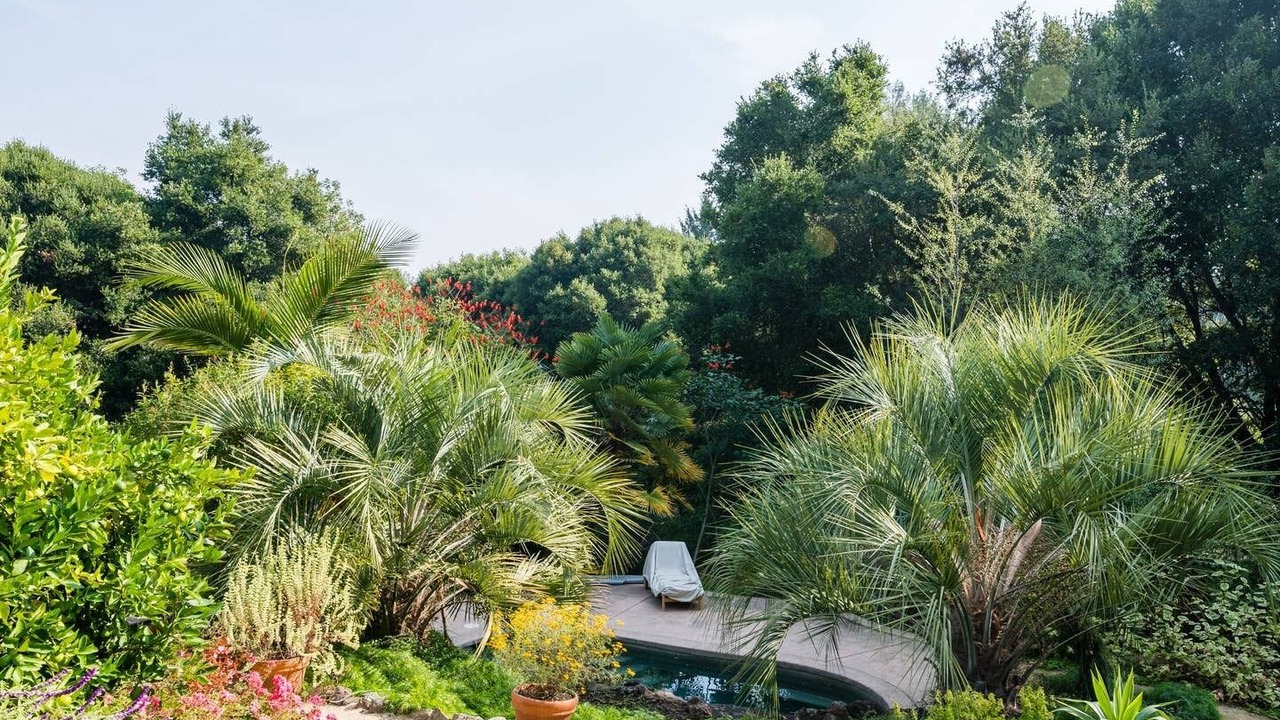 Photo of Outdoor in Aptos