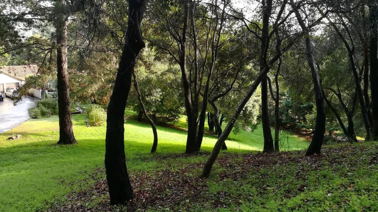 Photo of Outdoor in Aptos