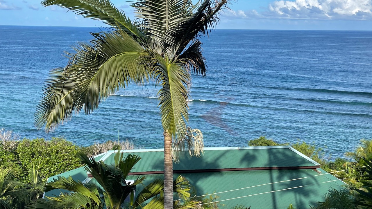 Photo of Others in Anse Royale
