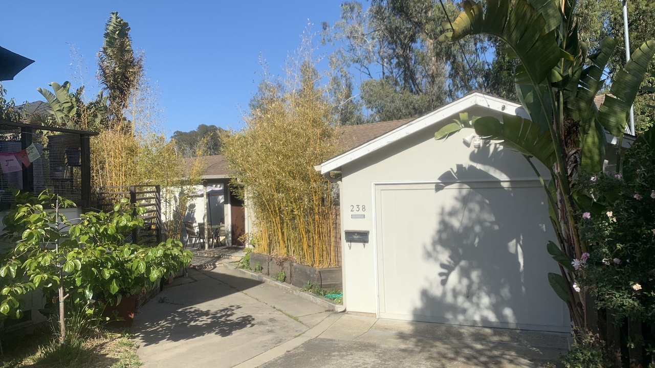 Photo of Outdoor in Eastside Santa Cruz