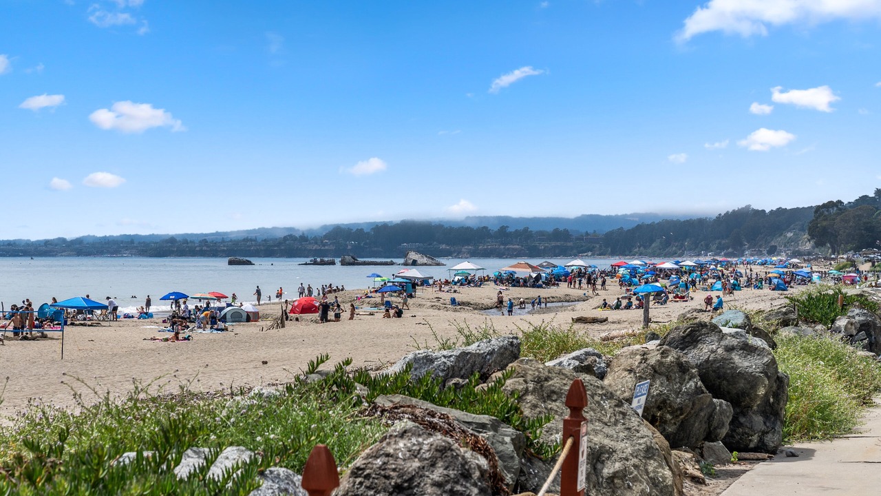 Photo of Others in Rio del Mar