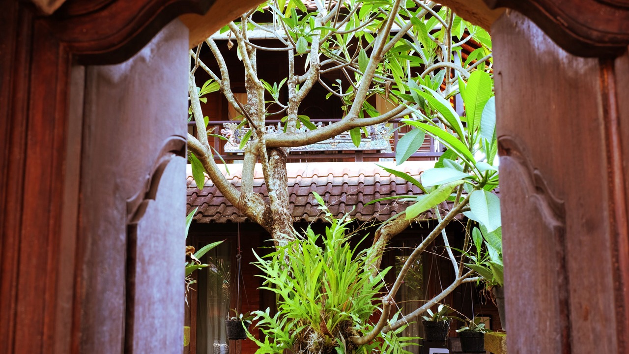 Photo of Others in Batubulan