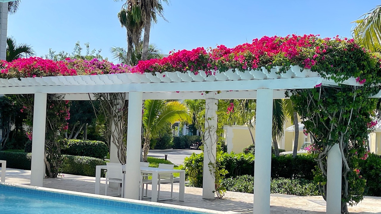 Photo of Outdoor in The Bight