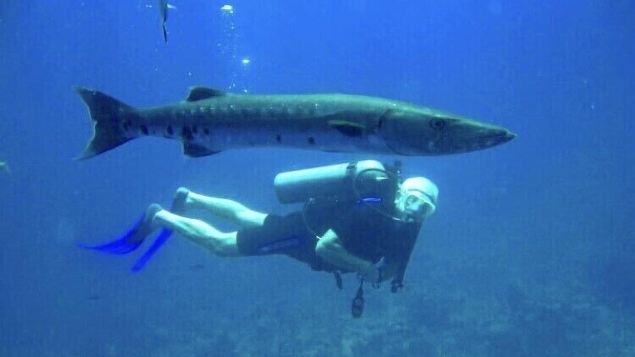 Photo of Others in Providenciales