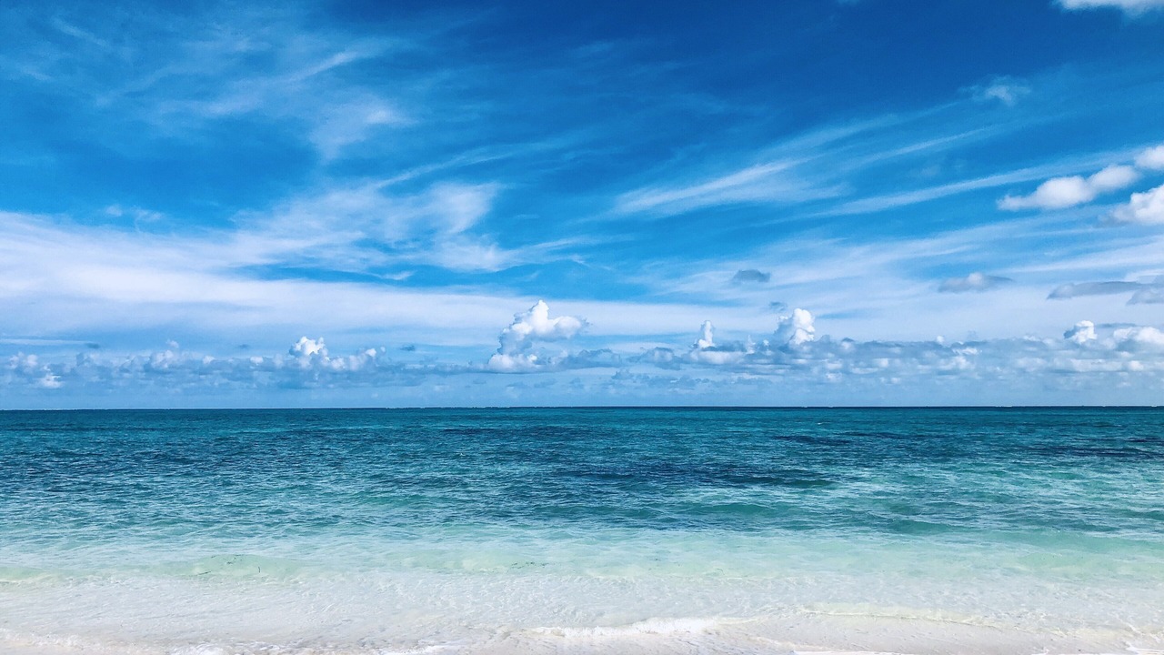 Photo of Others in Providenciales
