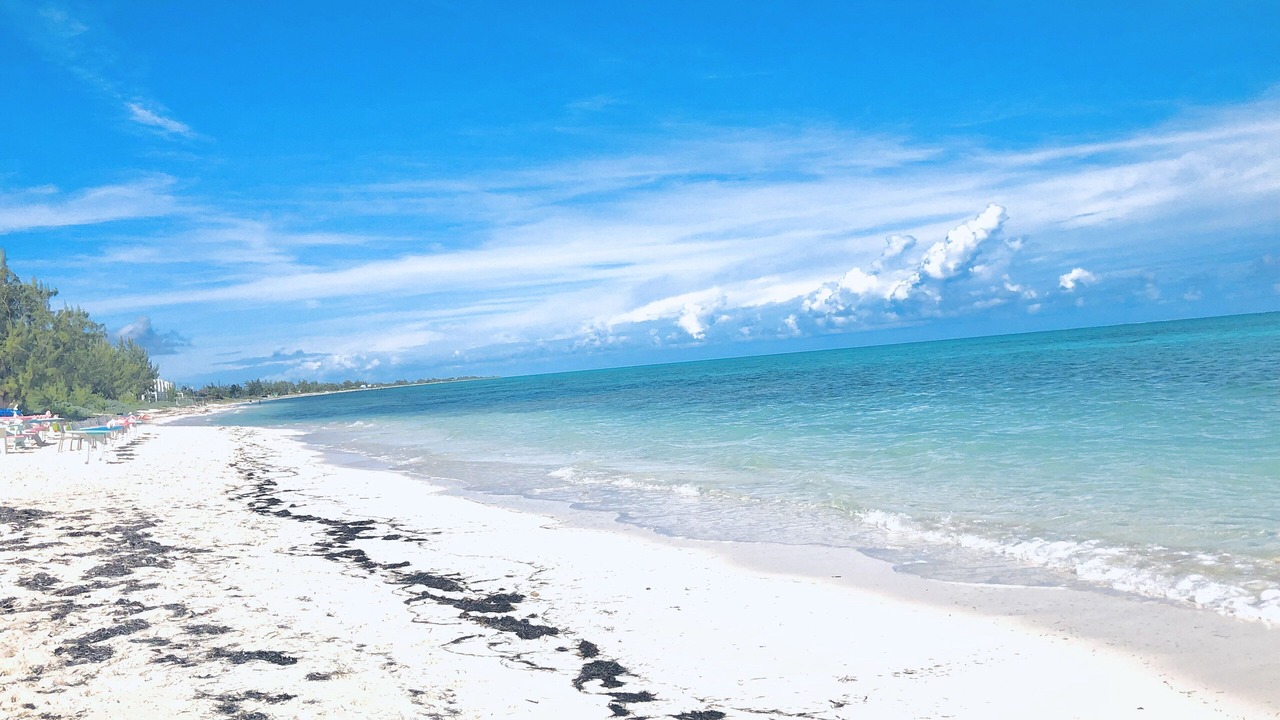 Photo of Others in Providenciales