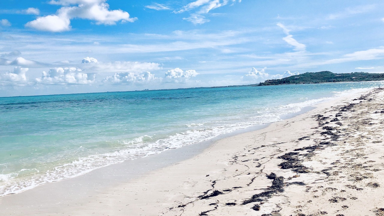 Photo of Others in Providenciales