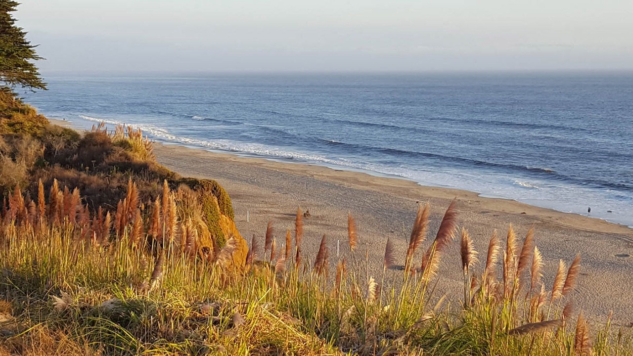 Photo of Others in Rio del Mar