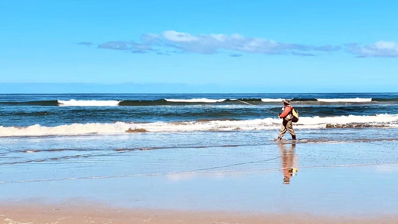 Photo of Others in Pajaro Dunes