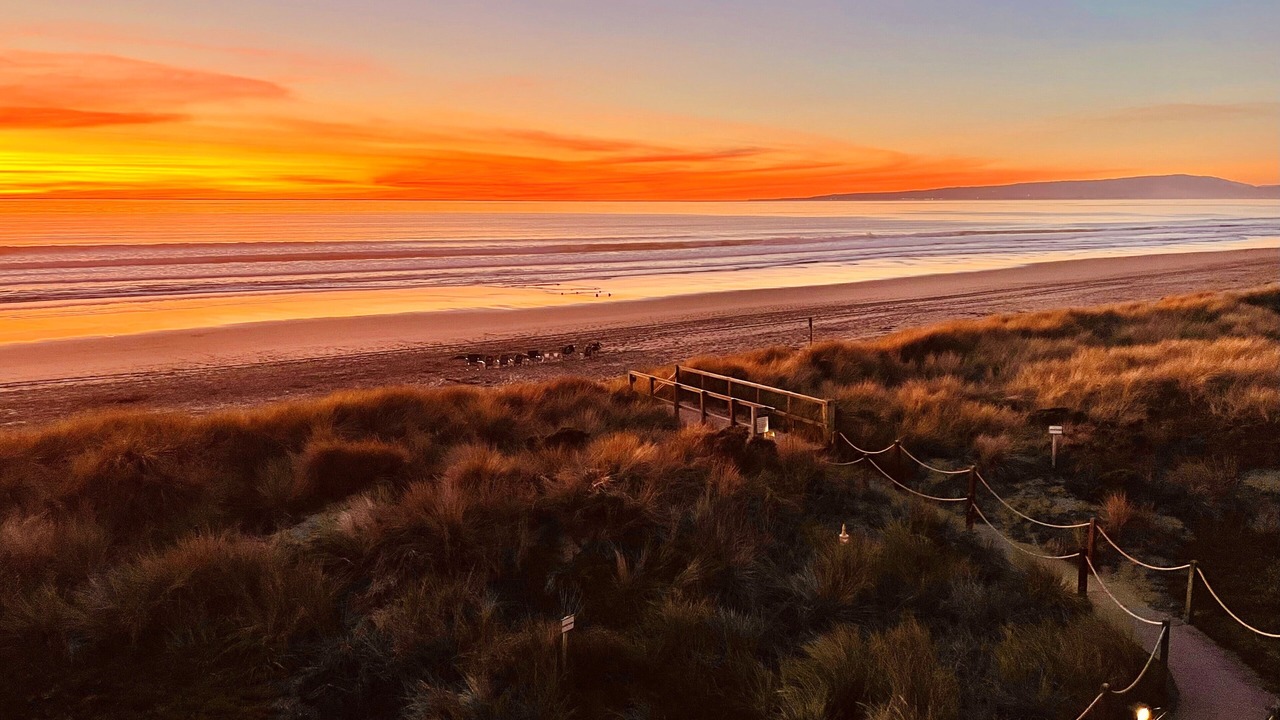 Photo of Others in Pajaro Dunes