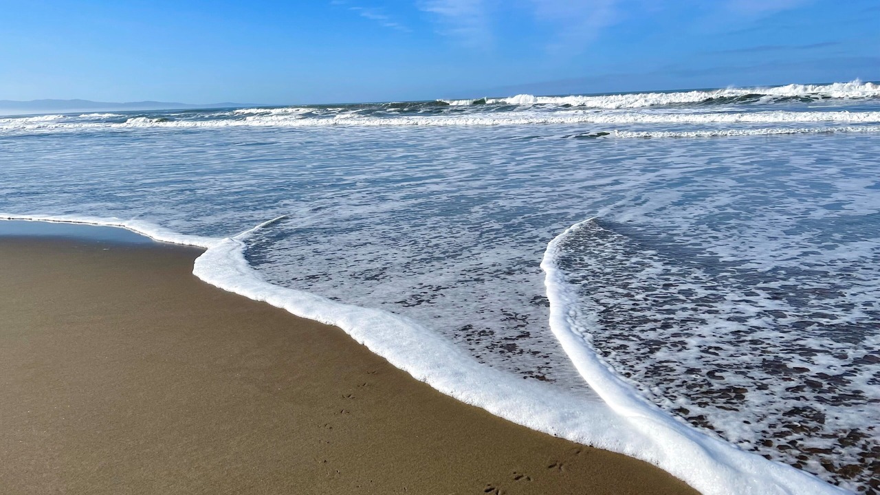 Photo of Others in Pajaro Dunes