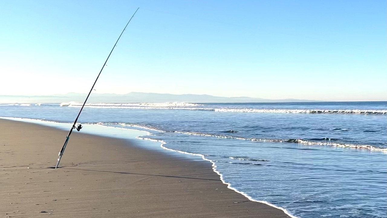 Photo of Others in Pajaro Dunes