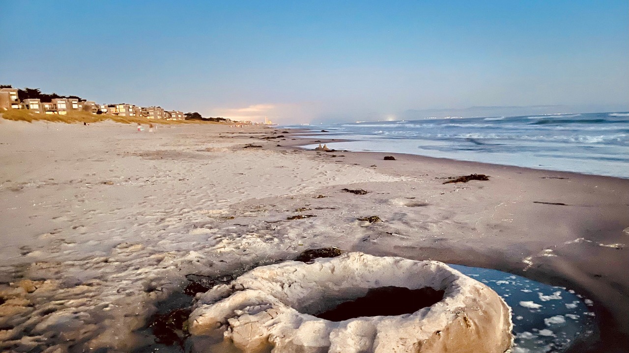 Photo of Others in Pajaro Dunes