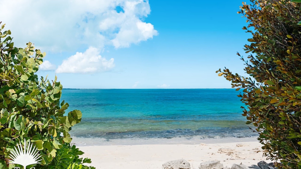 Photo of Others in Providenciales