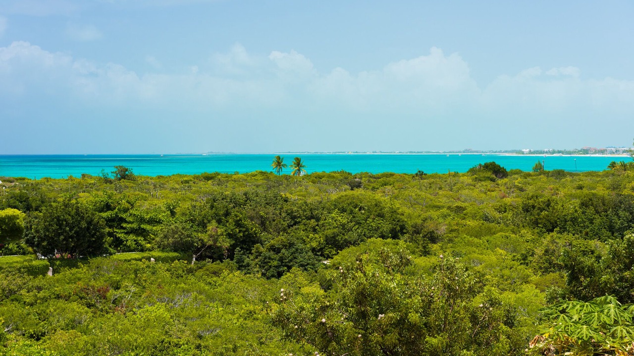 Photo of Others in The Bight