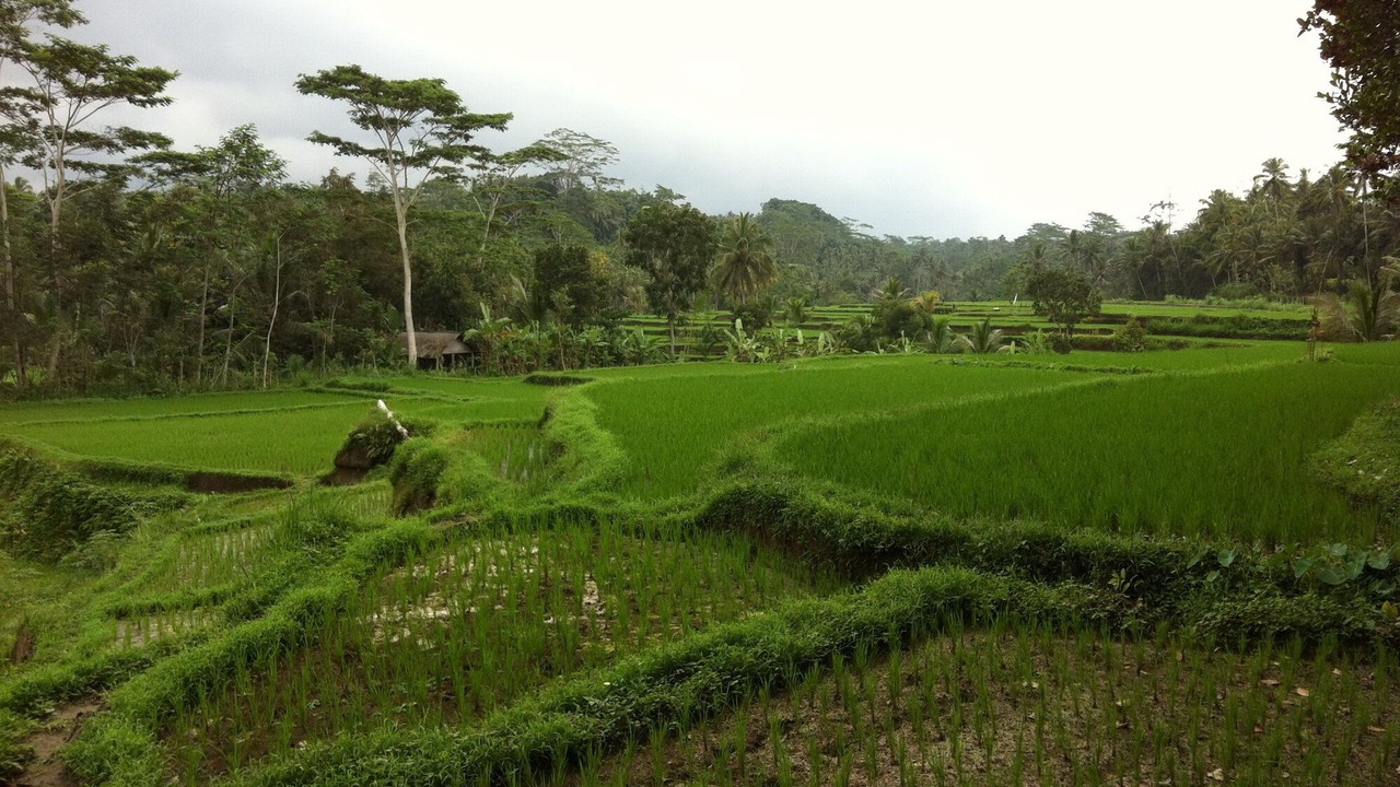 Photo of Outdoor in Sambahan