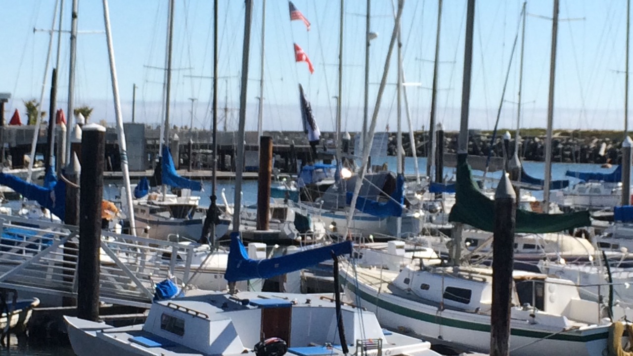 Photo of Others in Eastside Santa Cruz