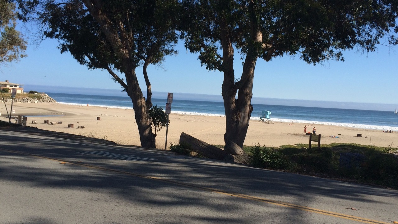 Photo of Others in Eastside Santa Cruz