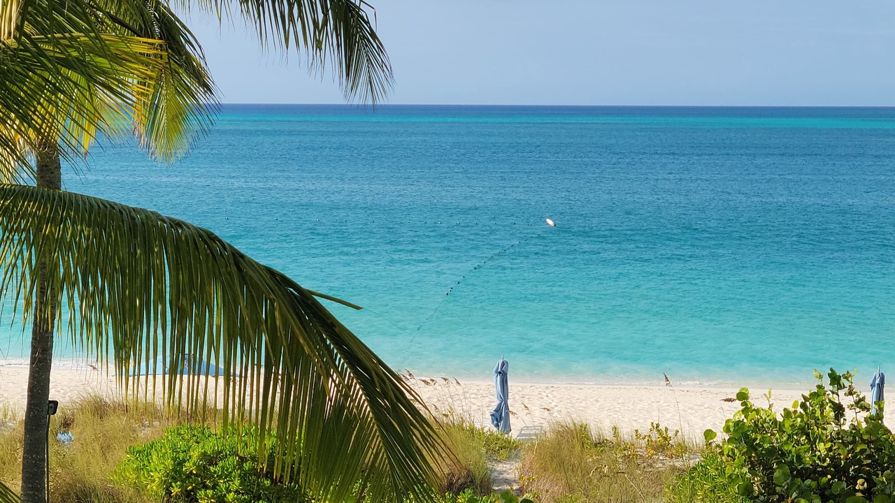 Photo of Others in Grace Bay