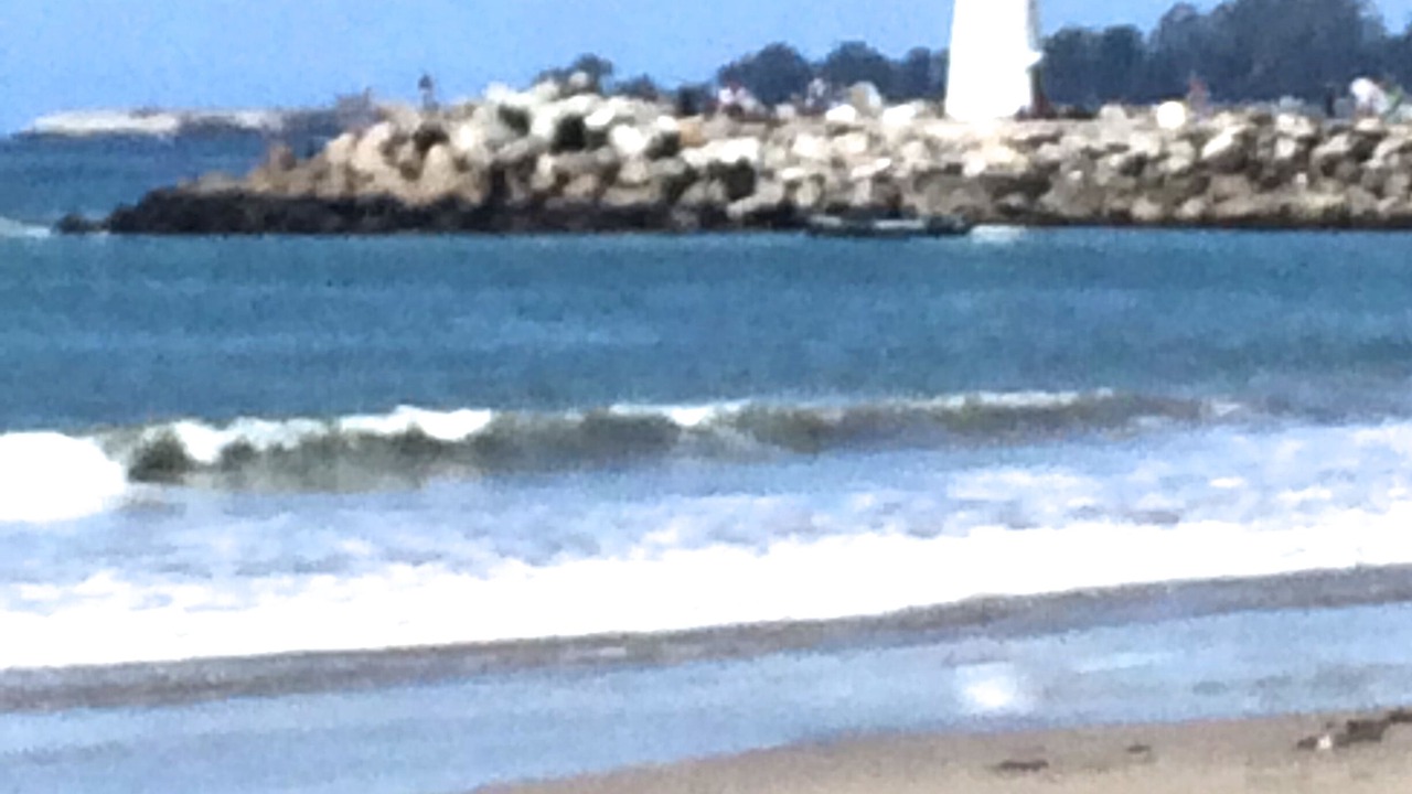 Photo of Others in Eastside Santa Cruz
