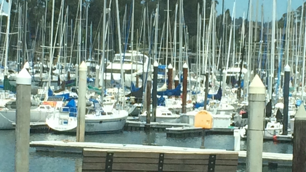 Photo of Others in Eastside Santa Cruz