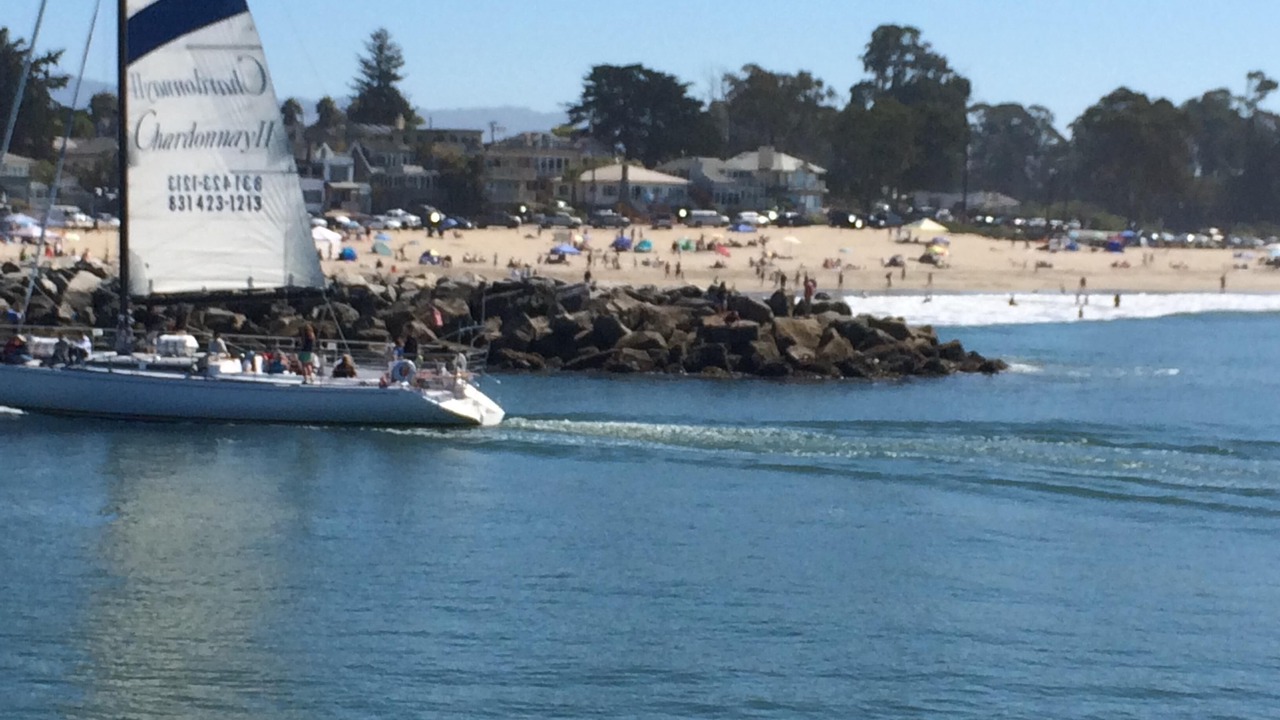 Photo of Others in Eastside Santa Cruz