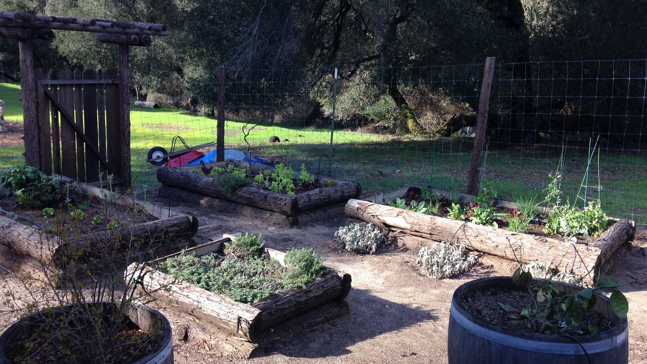Photo of Outdoor in Ben Lomond