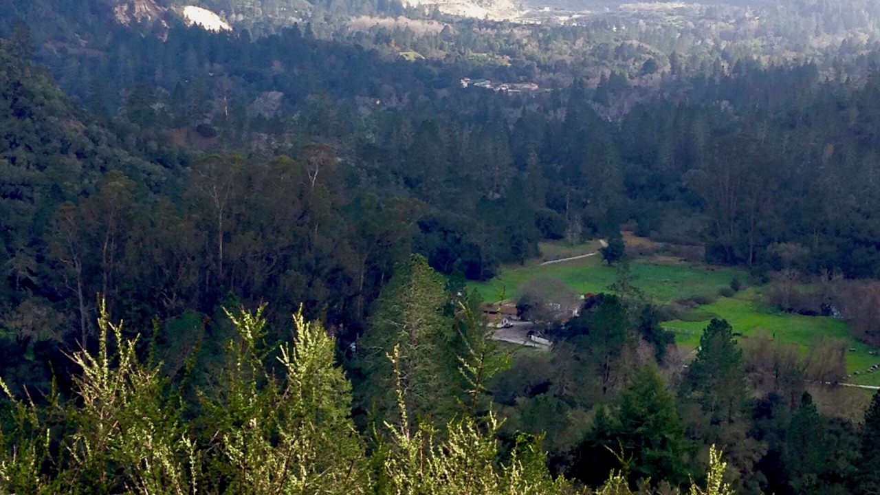 Photo of Others in Ben Lomond