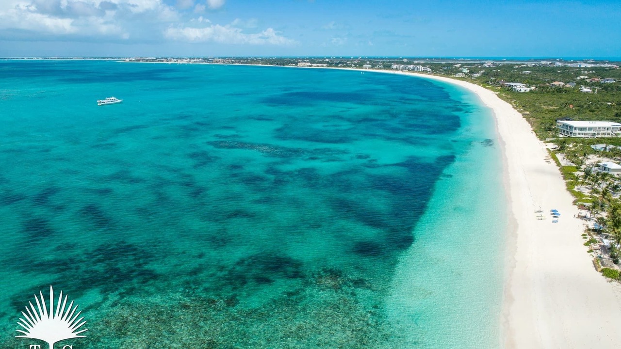 Photo of Others in The Bight