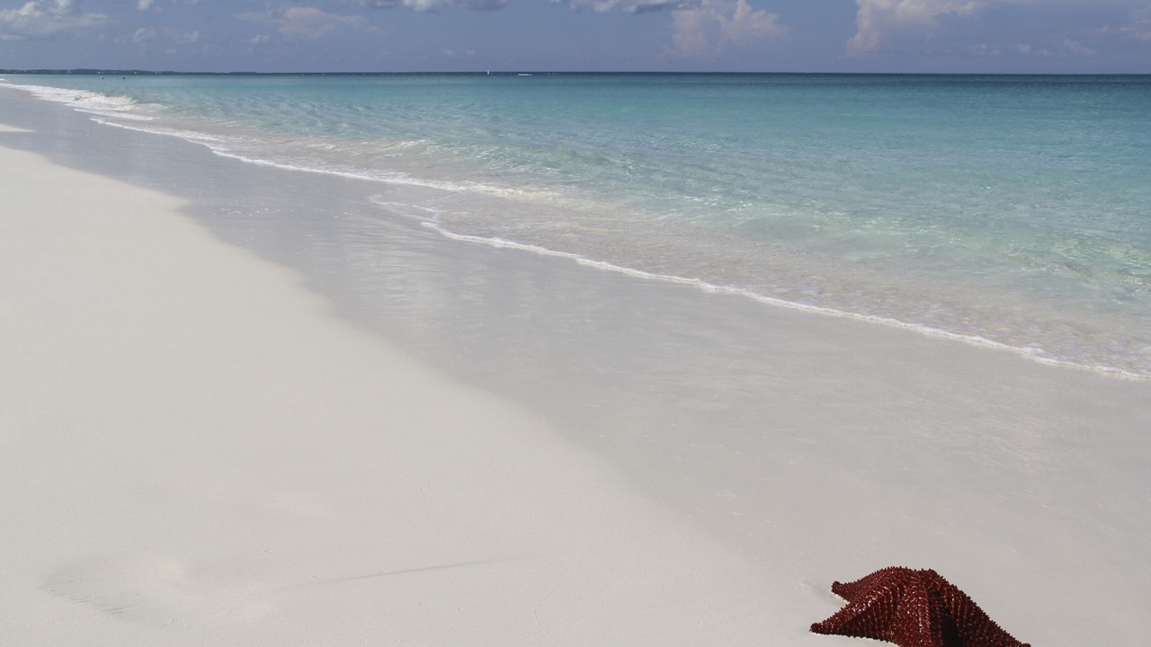 Photo of Others in Grace Bay