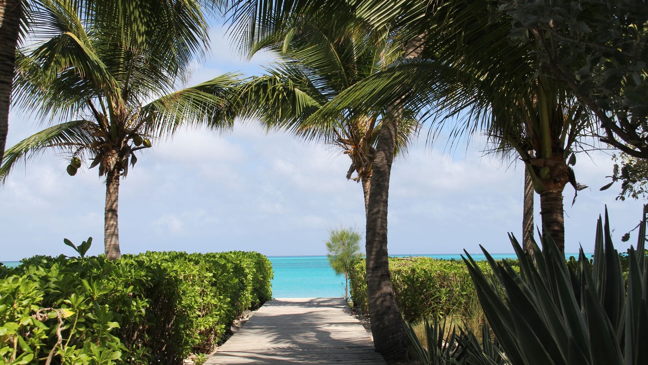 Photo of Others in Grace Bay