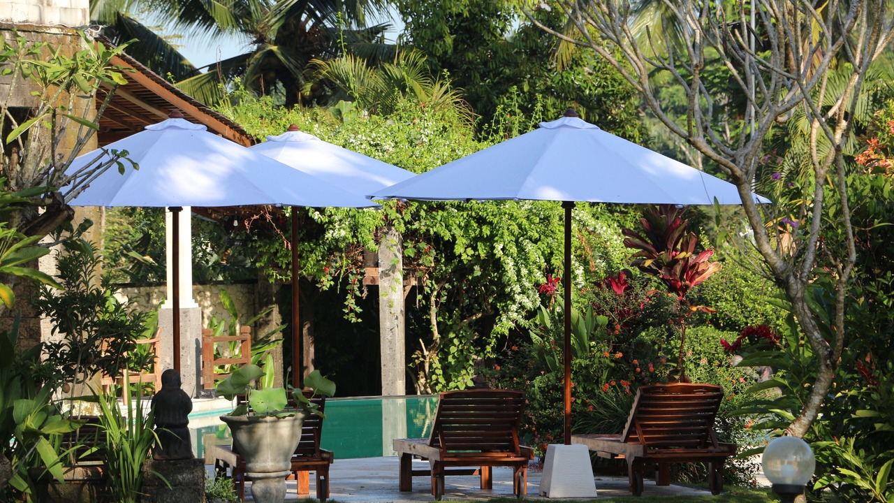 Photo of Outdoor in Tegallalang