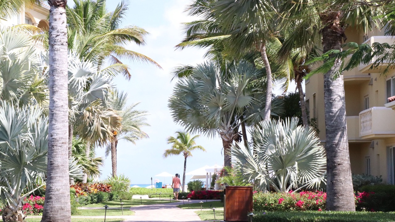 Photo of Outdoor in Grace Bay