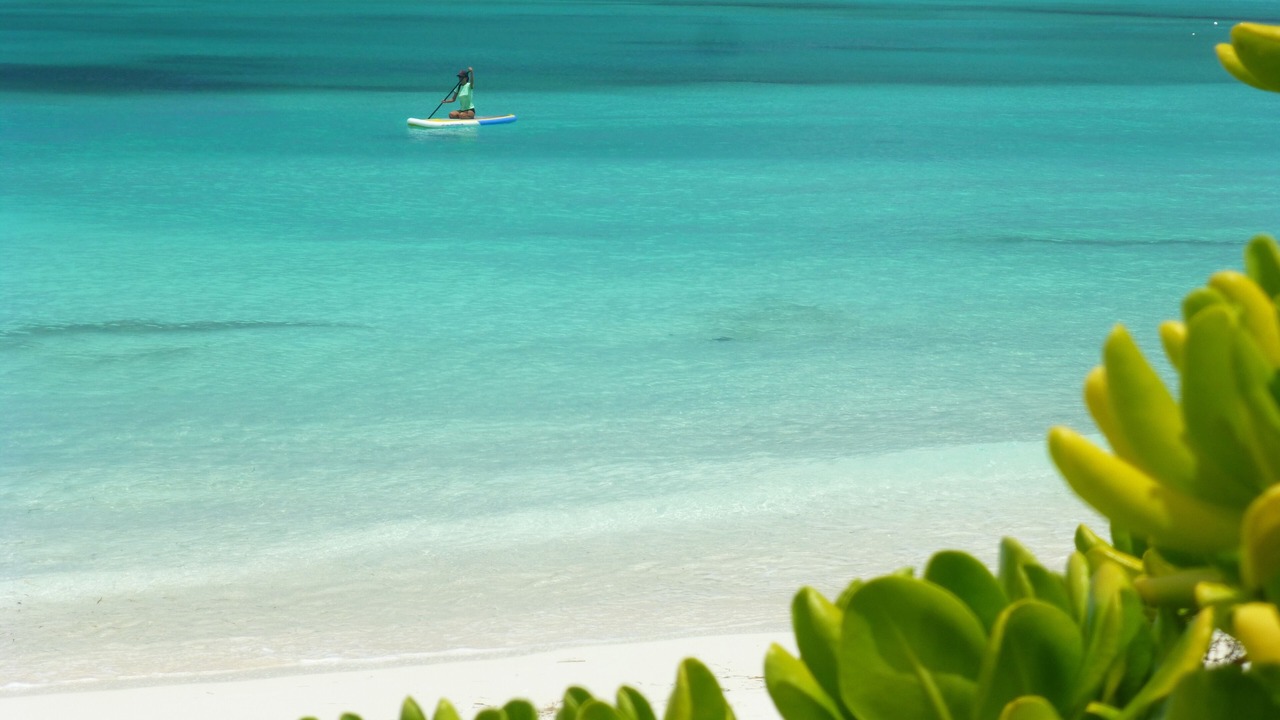 Photo of Others in The Bight