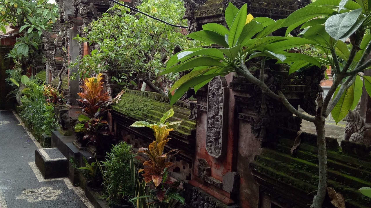 Photo of Outdoor in Peliatan