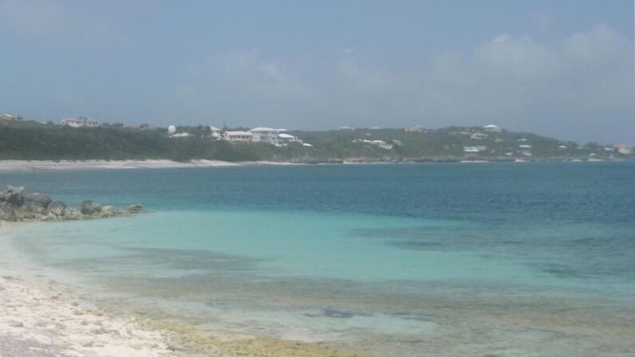 Photo of Others in Discovery Bay