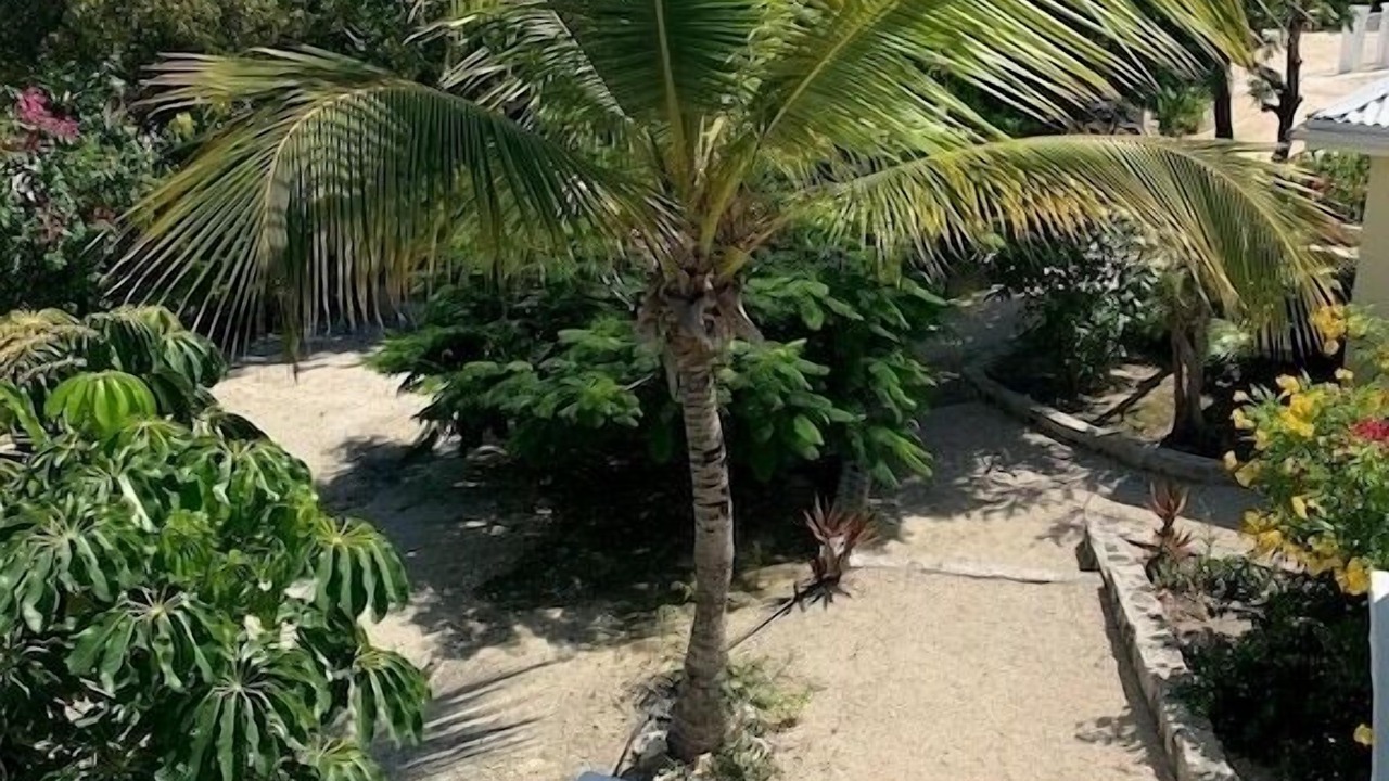 Photo of Others in Discovery Bay