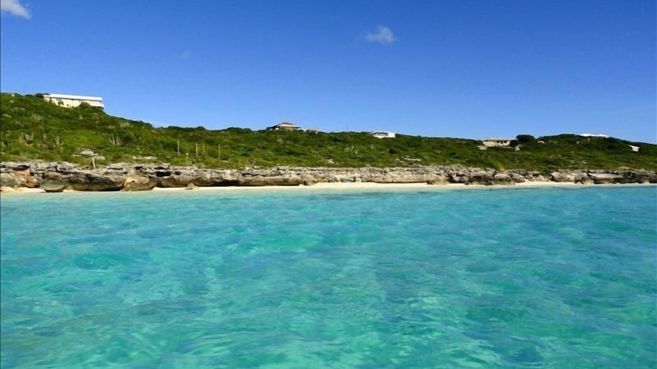 Photo of Others in Discovery Bay