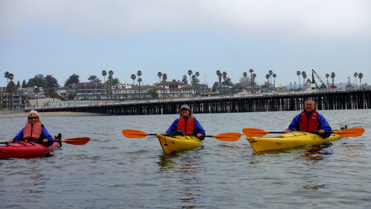 Photo of Others in Seabright