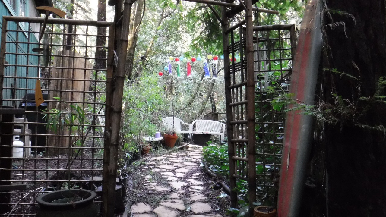 Photo of Outdoor in Felton