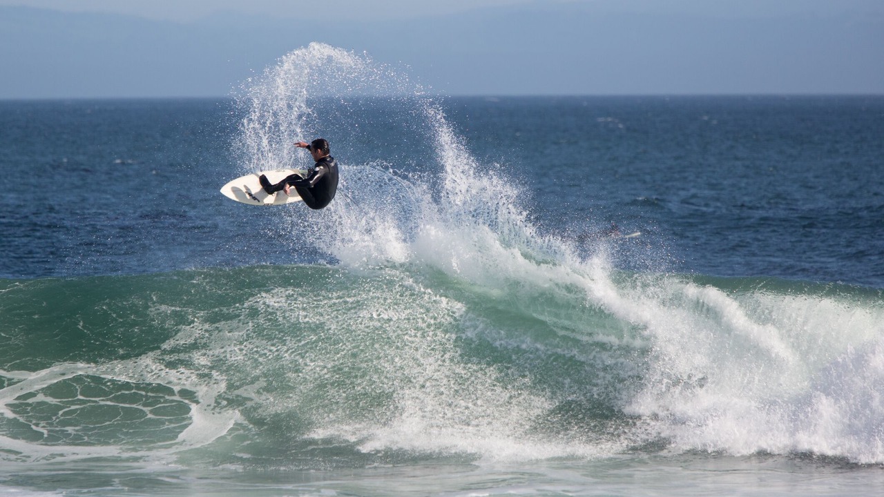 Photo of Others in Westside Santa Cruz