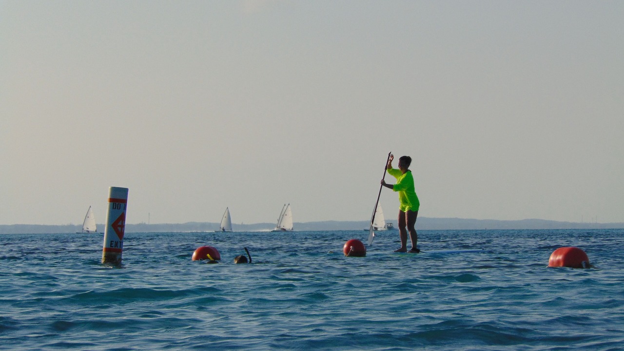 Photo of Others in Discovery Bay