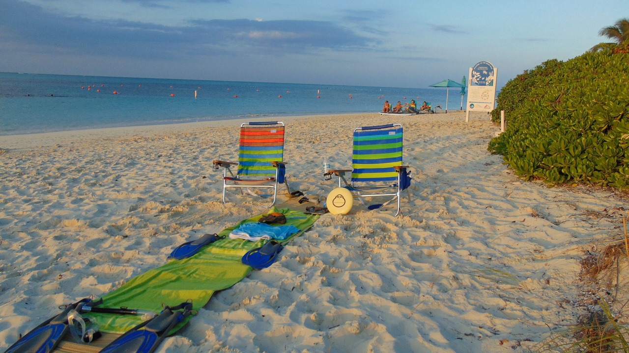 Photo of Others in Discovery Bay