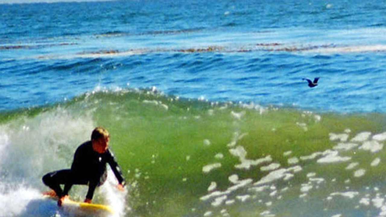 Photo of Others in Eastside Santa Cruz
