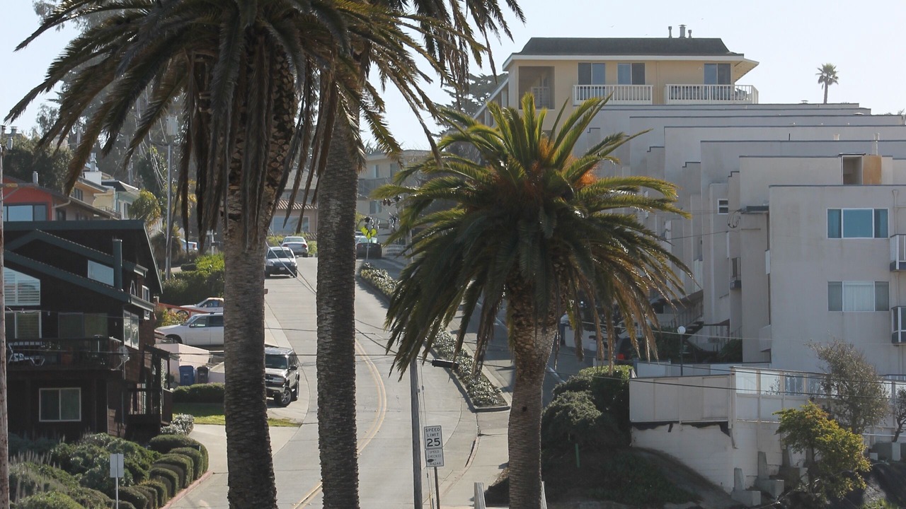 Photo of Others in Rio del Mar